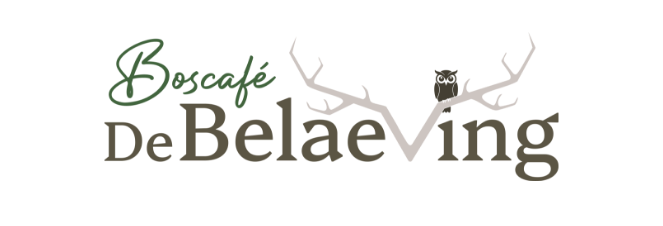De Belaeving