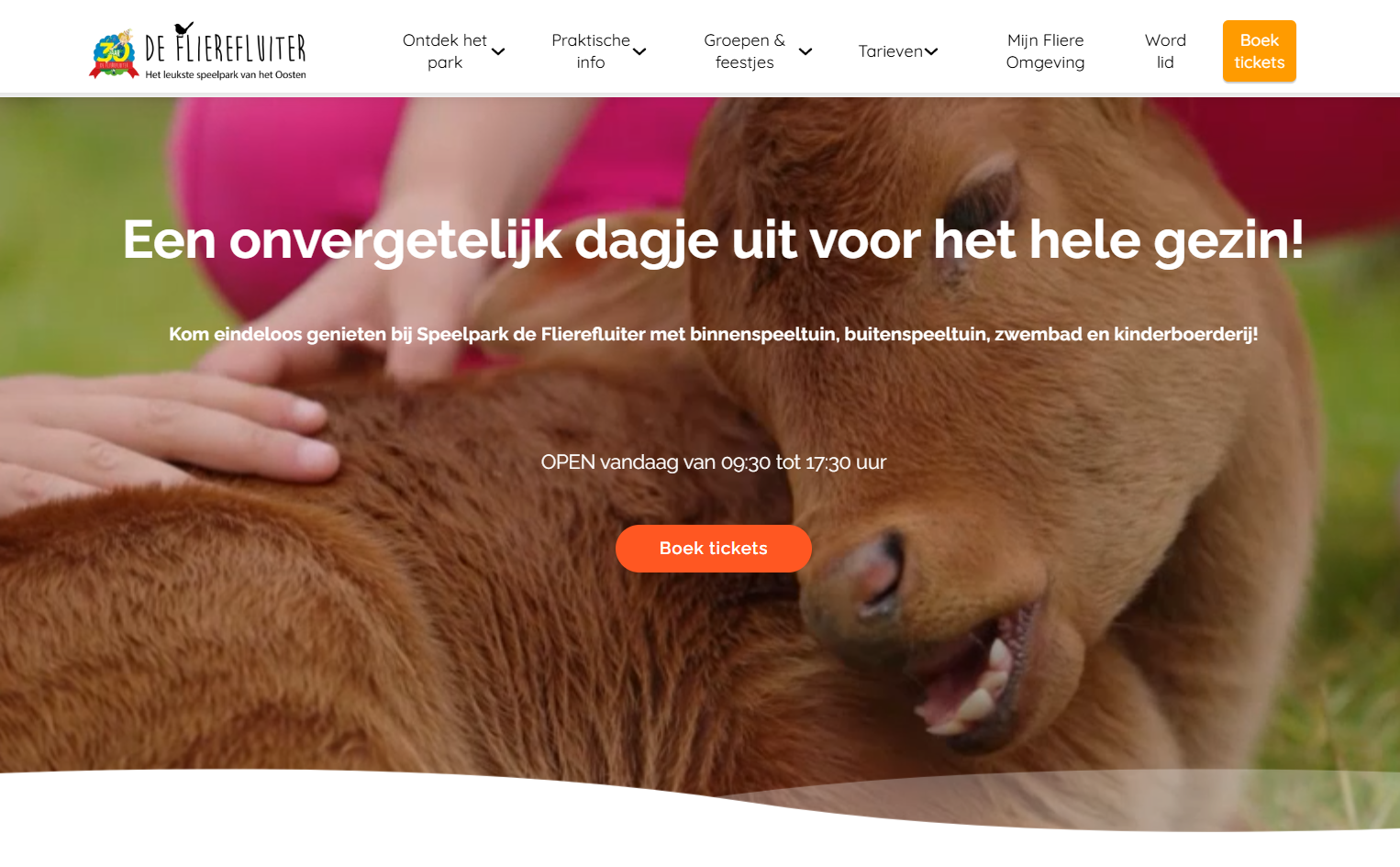 flierefluiter-homepage